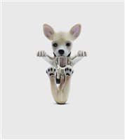 Ringe Dog Fever in Silber DOGANEDM012 - DOGANEDM012